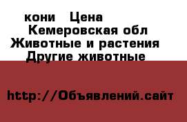 кони › Цена ­ 75 000 - Кемеровская обл. Животные и растения » Другие животные   